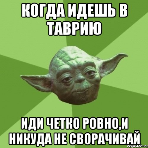 когда идешь в таврию иди четко ровно,и никуда не сворачивай, Мем Мастер Йода