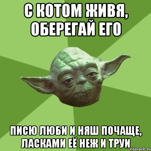 с котом живя, оберегай его писю люби и няш почаще, ласками её неж и труи, Мем Мастер Йода