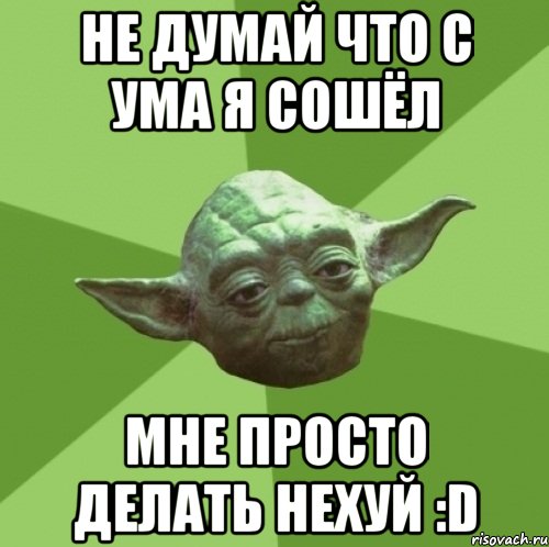 не думай что с ума я сошёл мне просто делать нехуй :d, Мем Мастер Йода