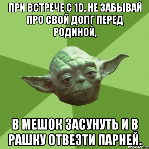 при встрече с 1d, не забывай про свой долг перед родиной, в мешок засунуть и в рашку отвезти парней., Мем Мастер Йода