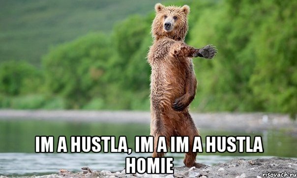  im a hustla, im a im a hustla homie, Мем Медвед танцует