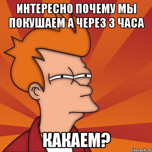 интересно почему мы покушаем а через 3 часа какаем?, Мем Мне кажется или (Фрай Футурама)