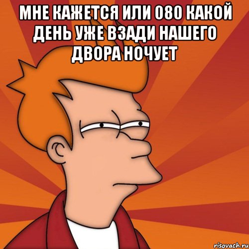 мне кажется или 080 какой день уже взади нашего двора ночует , Мем Мне кажется или (Фрай Футурама)