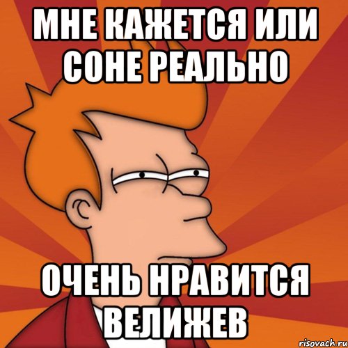 мне кажется или соне реально очень нравится велижев, Мем Мне кажется или (Фрай Футурама)