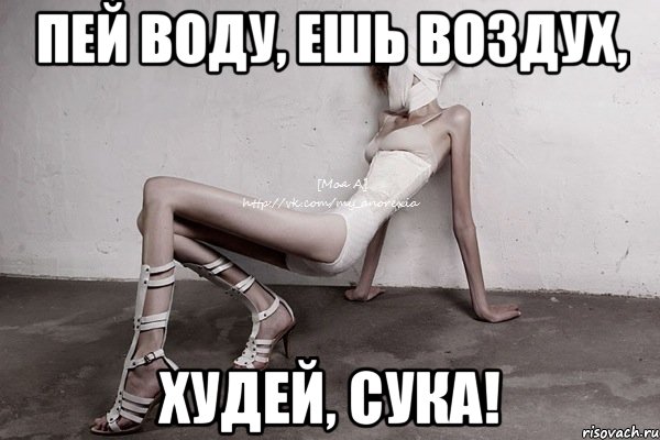 пей воду, ешь воздух, худей, сука!, Мем моя а