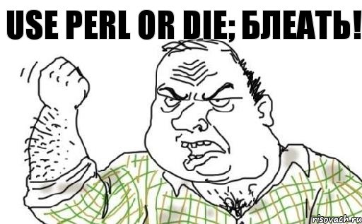 Use perl or die; Блеать!, Комикс Мужик блеать