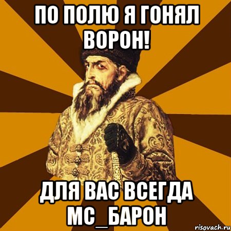 по полю я гонял ворон! для вас всегда mc_барон, Мем Не царское это дело