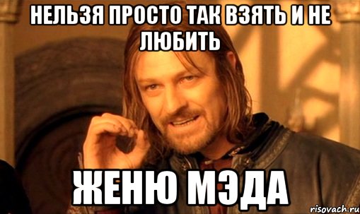 нельзя просто так взять и не любить женю мэда, Мем Нельзя просто так взять и (Боромир мем)