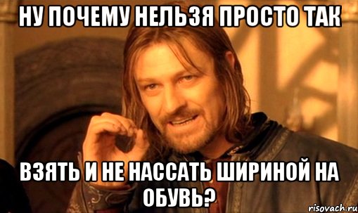 ну почему нельзя просто так взять и не нассать шириной на обувь?, Мем Нельзя просто так взять и (Боромир мем)