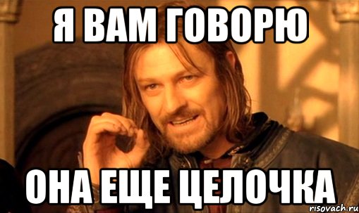 я вам говорю она еще целочка, Мем Нельзя просто так взять и (Боромир мем)