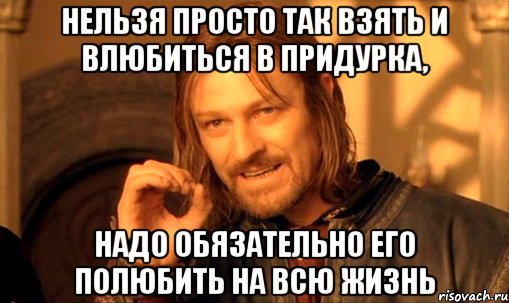 нельзя просто так взять и влюбиться в придурка, надо обязательно его полюбить на всю жизнь, Мем Нельзя просто так взять и (Боромир мем)