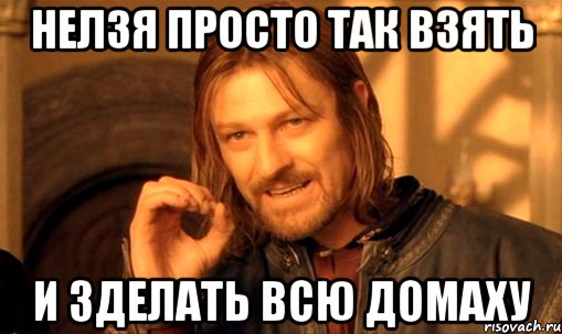 нелзя просто так взять и зделать всю домаху, Мем Нельзя просто так взять и (Боромир мем)