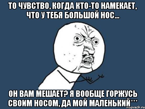 то чувство, когда кто-то намекает, что у тебя большой нос... он вам мешает? я вообще горжусь своим носом, да мой маленький***, Мем Ну почему