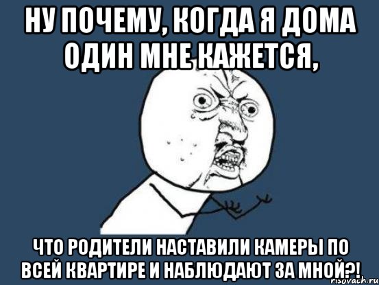 ну почему, когда я дома один мне кажется, что родители наставили камеры по всей квартире и наблюдают за мной?!, Мем Ну почему