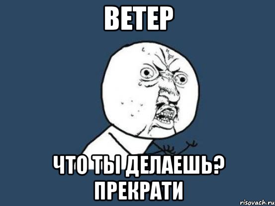 ветер что ты делаешь? прекрати, Мем Ну почему