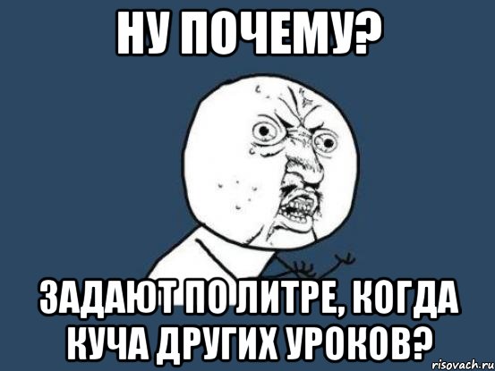 ну почему? задают по литре, когда куча других уроков?, Мем Ну почему