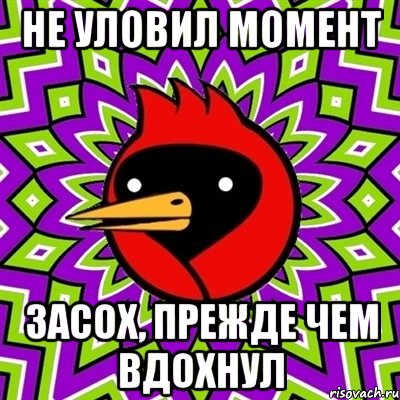 не уловил момент засох, прежде чем вдохнул, Мем Омская птица