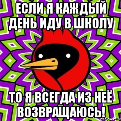 если я каждый день иду в школу то я всегда из неё возвращаюсь!, Мем Омская птица