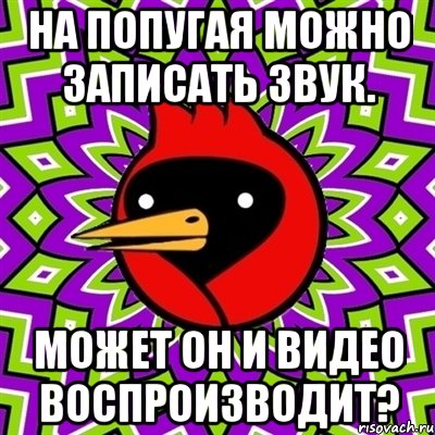 на попугая можно записать звук. может он и видео воспроизводит?, Мем Омская птица