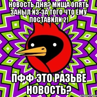 новость дня? мища опять заныл из-за того что ему поставили 2! пфф это разьве новость?, Мем Омская птица