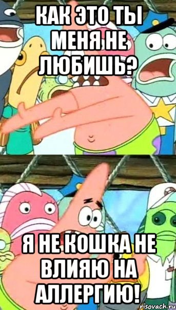 как это ты меня не любишь? я не кошка не влияю на аллергию!, Мем Патрик (берешь и делаешь)