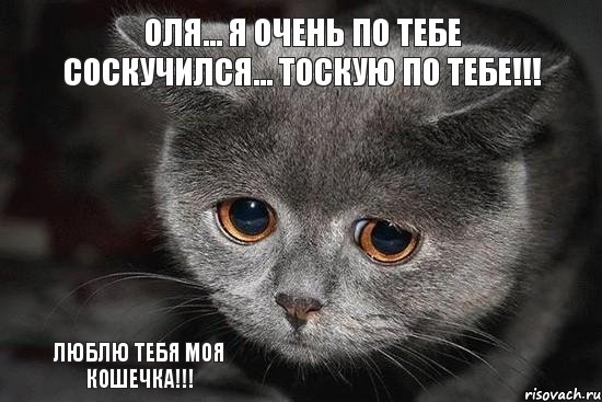 Люблю тебя моя Кошечка!!! Оля... я очень по тебе соскучился... тоскую по тебе!!!