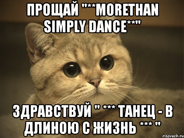 прощай ''**morethan simply dance**'' здравствуй '' *** танец - в длиною с жизнь *** '', Мем Пидрила ебаная котик