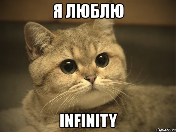 я люблю infinity, Мем Пидрила ебаная котик