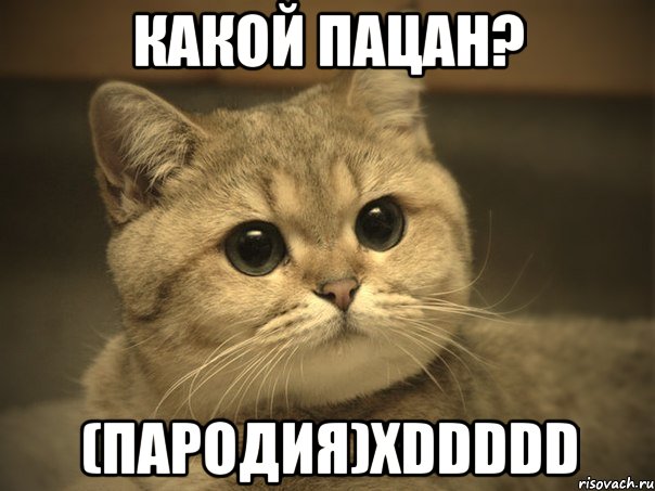 какой пацан? (пародия)xddddd, Мем Пидрила ебаная котик