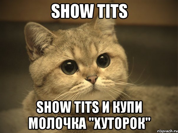 show tits show tits и купи молочка "хуторок", Мем Пидрила ебаная котик