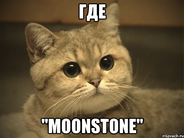 где "moonstone", Мем Пидрила ебаная котик