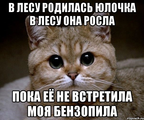 в лесу родилась юлочка в лесу она росла пока её не встретила моя бензопила, Мем Пидрила Ебаная