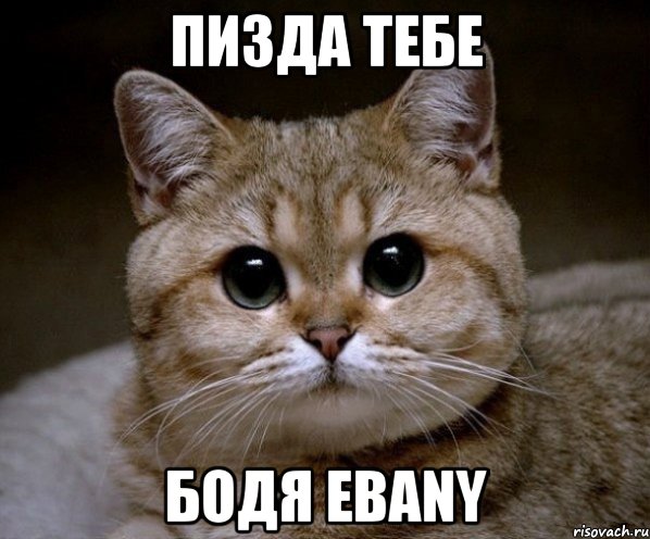 пизда тебе бодя ebany, Мем Пидрила Ебаная