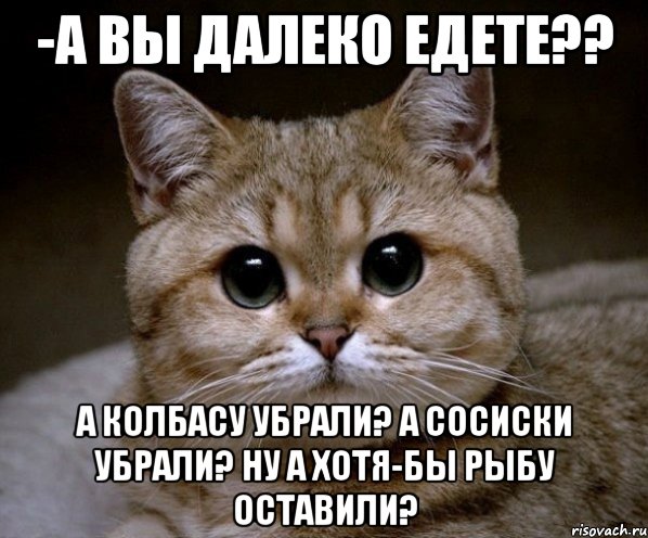 -а вы далеко едете?? а колбасу убрали? а сосиски убрали? ну а хотя-бы рыбу оставили?, Мем Пидрила Ебаная