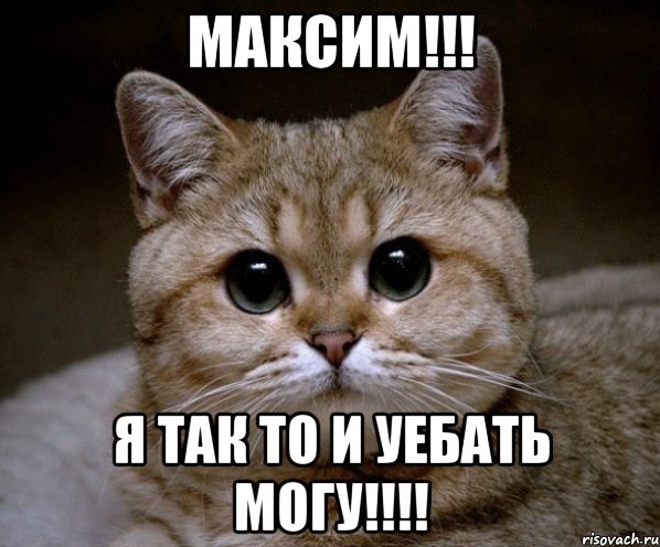 максим!!! я так то и уебать могу!!!, Мем Пидрила Ебаная