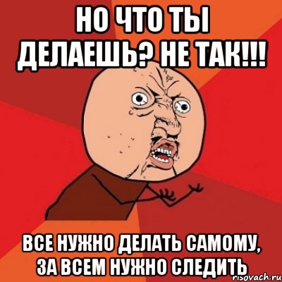 но что ты делаешь? не так!!! все нужно делать самому, за всем нужно следить, Мем Почему