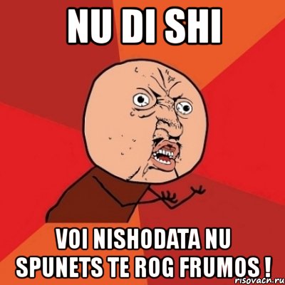 nu di shi voi nishodata nu spunets te rog frumos !, Мем Почему