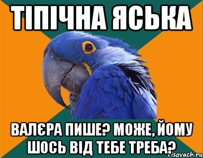 тіпічна яська валєра пише? може, йому шось від тебе треба?, Мем Попугай параноик