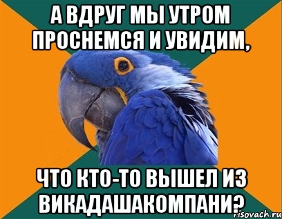 а вдруг мы утром проснемся и увидим, что кто-то вышел из викадашакомпани?, Мем Попугай параноик