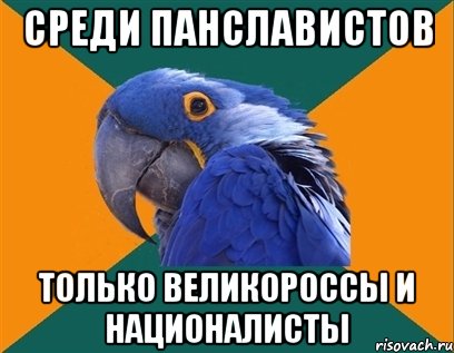 среди панславистов только великороссы и националисты, Мем Попугай параноик