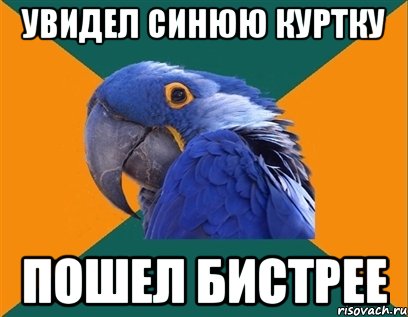 увидел синюю куртку пошел бистрее, Мем Попугай параноик