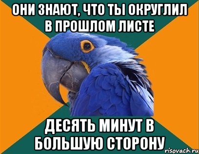 они знают, что ты округлил в прошлом листе десять минут в большую сторону, Мем Попугай параноик