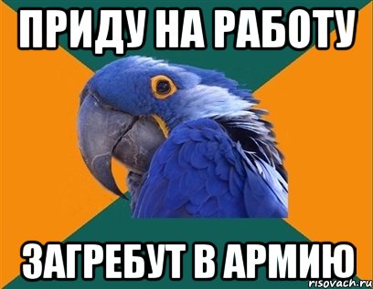 приду на работу загребут в армию, Мем Попугай параноик