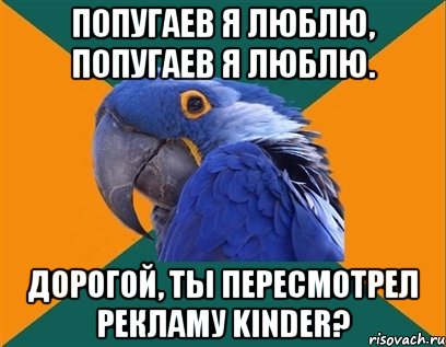 попугаев я люблю, попугаев я люблю. дорогой, ты пересмотрел рекламу kinder?, Мем Попугай параноик