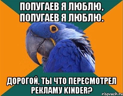 попугаев я люблю, попугаев я люблю. дорогой, ты что пересмотрел рекламу kinder?, Мем Попугай параноик