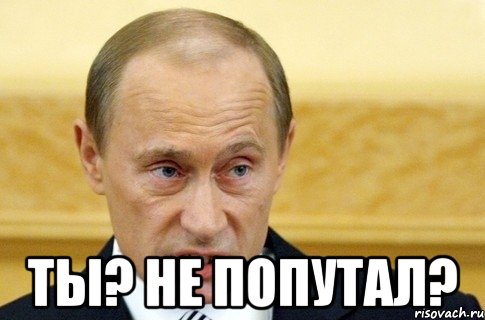  ты? не попутал?, Мем путин