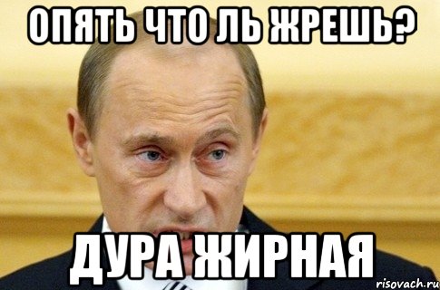 опять что ль жрешь? дура жирная, Мем путин