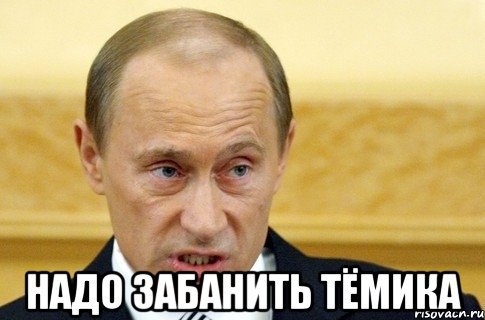  надо забанить тёмика, Мем путин