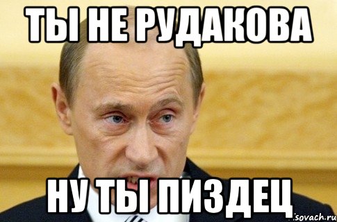 ты не рудакова ну ты пиздец, Мем путин