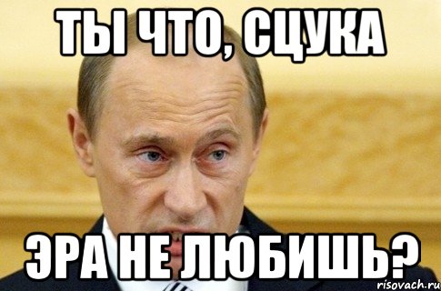 ты что, сцука эра не любишь?, Мем путин